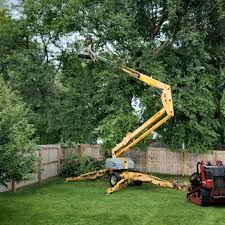 Best Lawn Irrigation Installation and Maintenance  in Gallup, NM